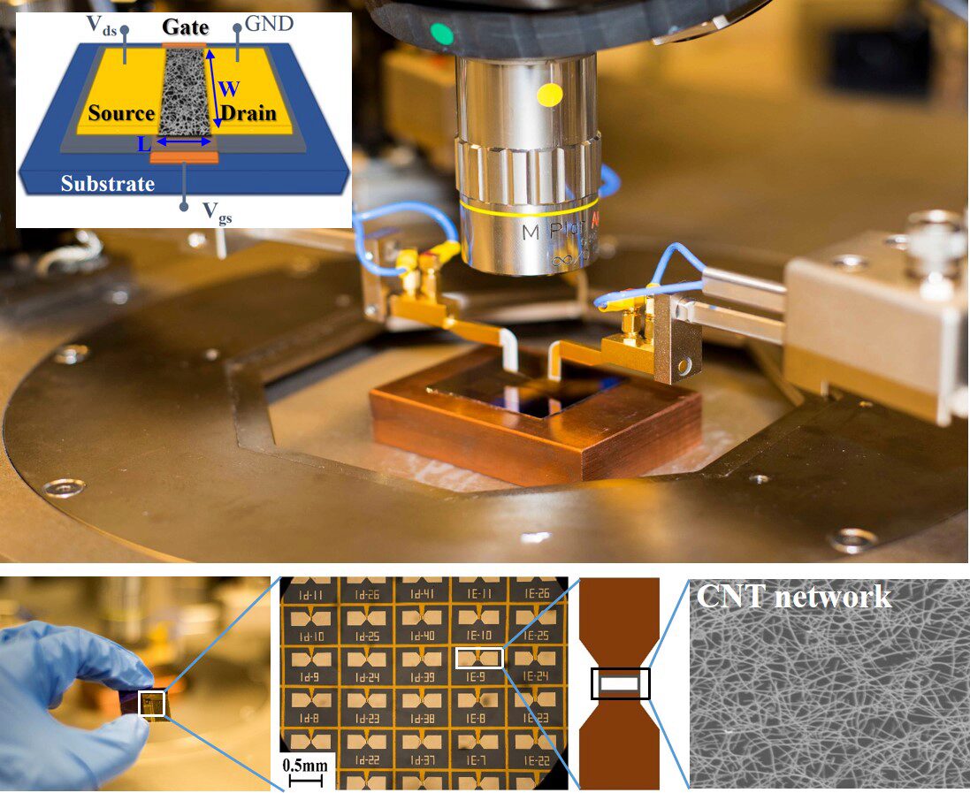 Apprehending Performance Variability in CNT Network Thin Film Transistors