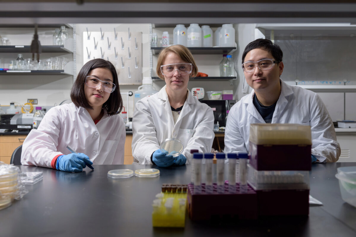 Postdoctoral Fellow Yeongseon Jang, Associate Professor Julie Champion and Postdoctoral Fellow Won Tae Choi are shown in Champion’s laboratory at Georgia Tech. With Professor Dennis Hess (not shown), the researchers developed a new nanotextured surface fo