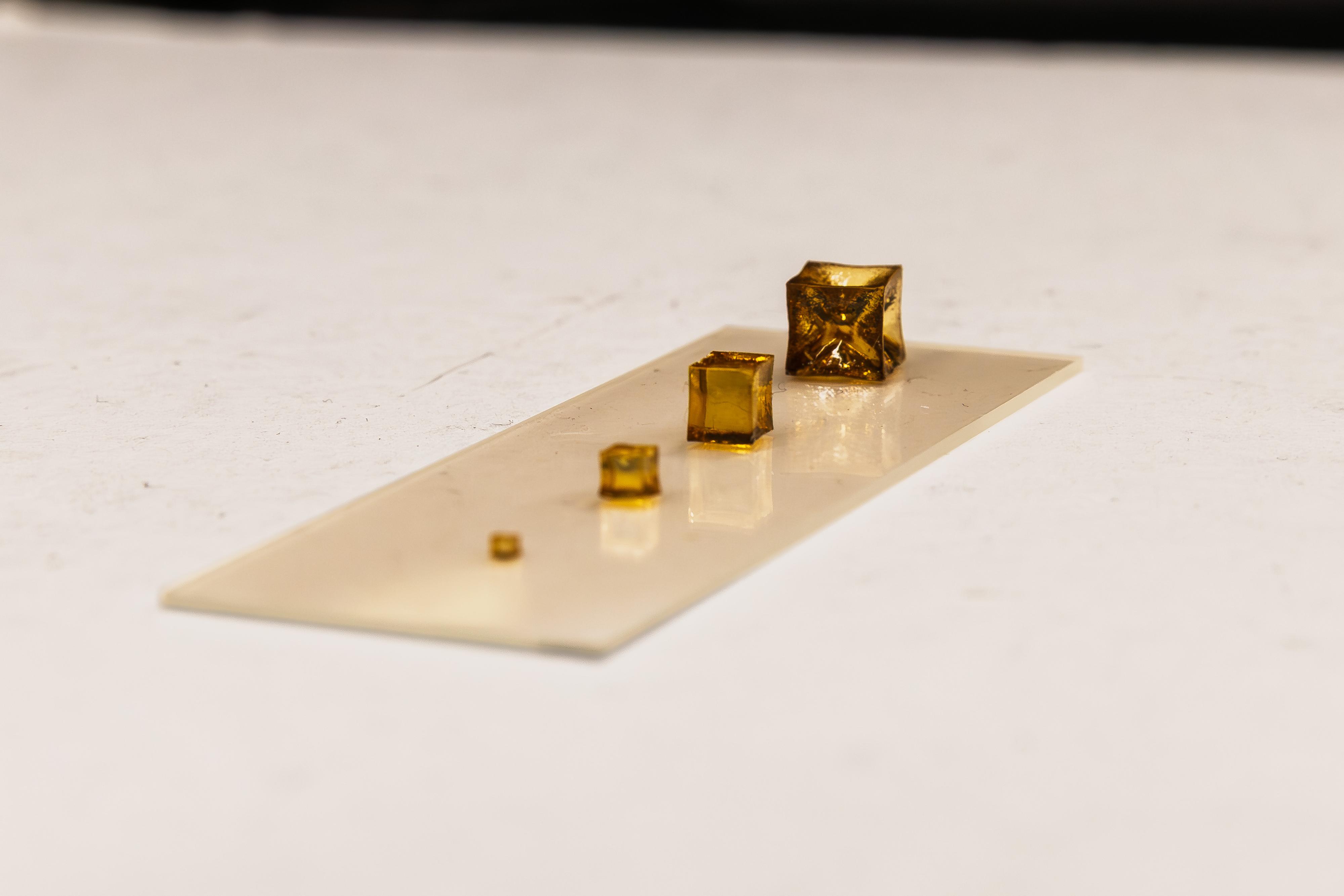 Research in Yuhang Hu's lab