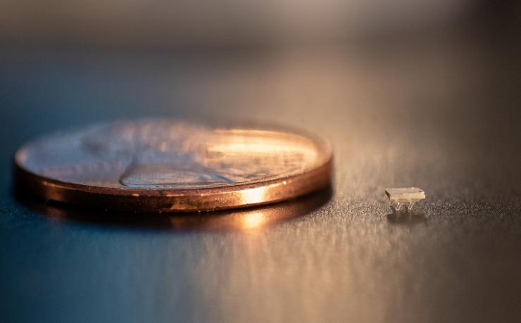 A bristle bot is dwarfed by a penny A bristle bot is dwarfed by a penny