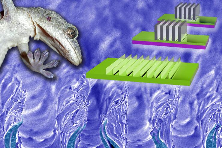 The inset on the upper right illustrates how the gecko adhesion surface is made by pushing lab razor blades into a setting polymer. The razor blades are pulled out, leaving indentations and stretching some of the polymer up, resulting in flexible walls th