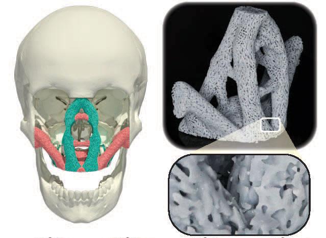 new materials could have applications for reconstructive surgery and other fields.