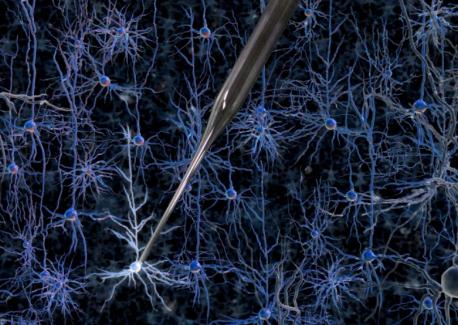 A robotically controlled glass electrode enables single-cell electrical recordings in living brain tissue. Credit: Georgia Tech