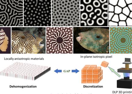 Turing pattern research