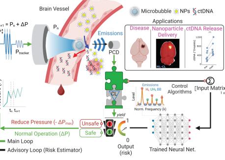 AI-Powered Ultrasound Research Expands Possibilities for Treating and Monitoring Brain Disease